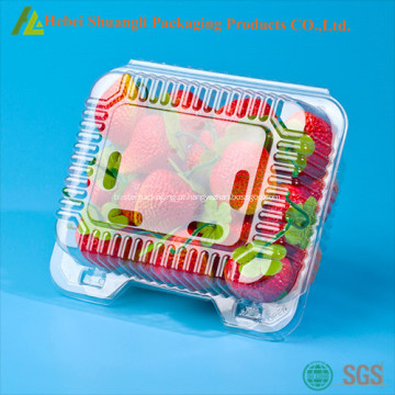 Caixa de empacotamento plástico transparente de morango
